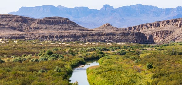 A river flows from a rocky canyon into a verdant green oasis. Mountains loom in the distance.